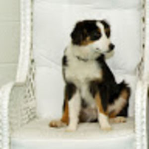 Meet your Posher, Wendy